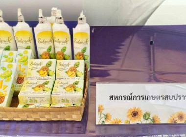 เครือข่ายพันธมิตรสินค้าเกษตรเพื่อเพิ่มศักยภาพ ... พารามิเตอร์รูปภาพ 8