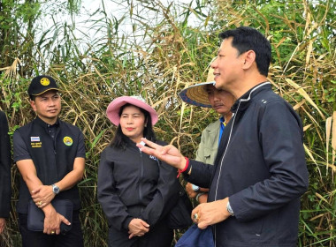 การตรวจโครงการพัฒนาพื้นที่การเกษตรนวัตกรรมเกษตรกรรุ่นใหม่ในเขตเมืองและพื้นที่ต่อเนื่อง ... พารามิเตอร์รูปภาพ 3