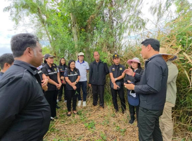 การตรวจโครงการพัฒนาพื้นที่การเกษตรนวัตกรรมเกษตรกรรุ่นใหม่ในเขตเมืองและพื้นที่ต่อเนื่อง ... พารามิเตอร์รูปภาพ 11