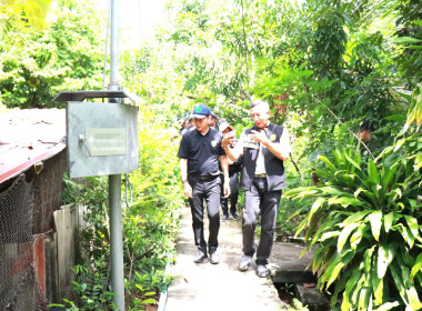 การตรวจโครงการพัฒนาพื้นที่การเกษตรนวัตกรรมเกษตรกรรุ่นใหม่ในเขตเมืองและพื้นที่ต่อเนื่อง ... พารามิเตอร์รูปภาพ 13